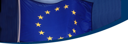 LDV Banner